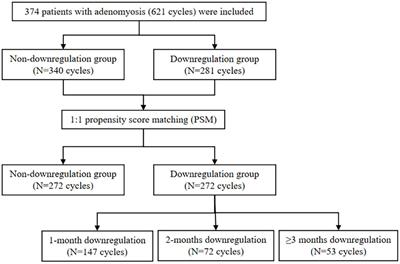 Effects of duration of long-acting GnRH agonist downregulation on assisted reproductive technology outcomes in patients with adenomyosis: a retrospective cohort study
