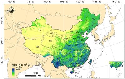 Characteristics of vegetation carbon sink carrying capacity and restoration potential of China in recent 40 years